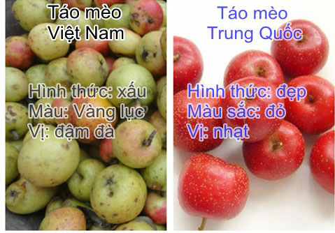 Nhận biết táo mèo Việt Nam ngon đúng chuẩn