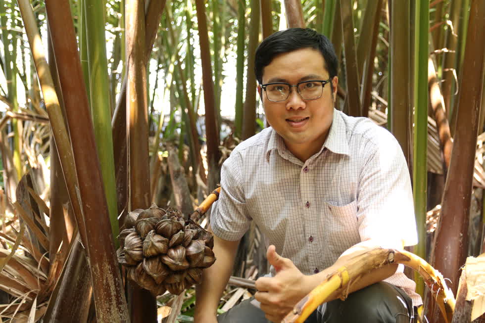 Phan Minh Tiến tìm đường nâng cao giá trị cây dừa nước. 