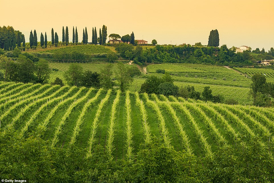 Những ngọn đồi xanh tươi của Ý có nghĩa là đây là một nơi tuyệt vời để tham quan và trải nghiệm sự giao thoa luôn quyến rũ của vùng nông thôn mộc mạc với sự quyến rũ sang trọng.