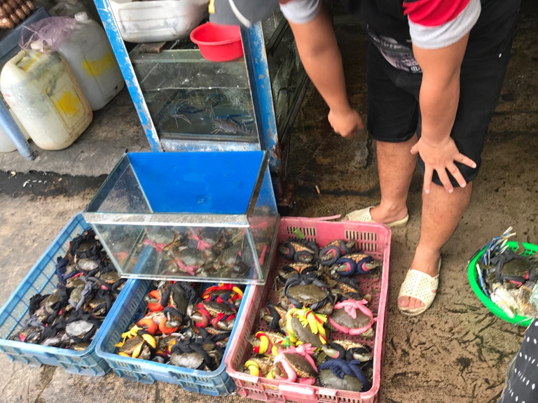  Giá cua biển tại Kiên Giang giảm sâu
