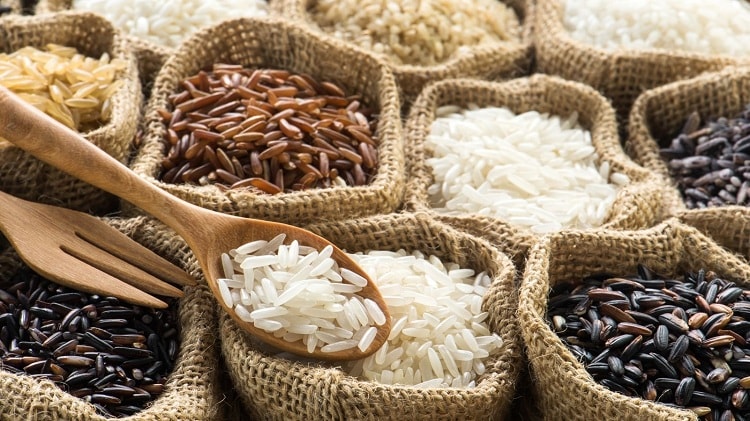 Giá gạo xuất khẩu ổn định, nhu cầu thu mua tăng 