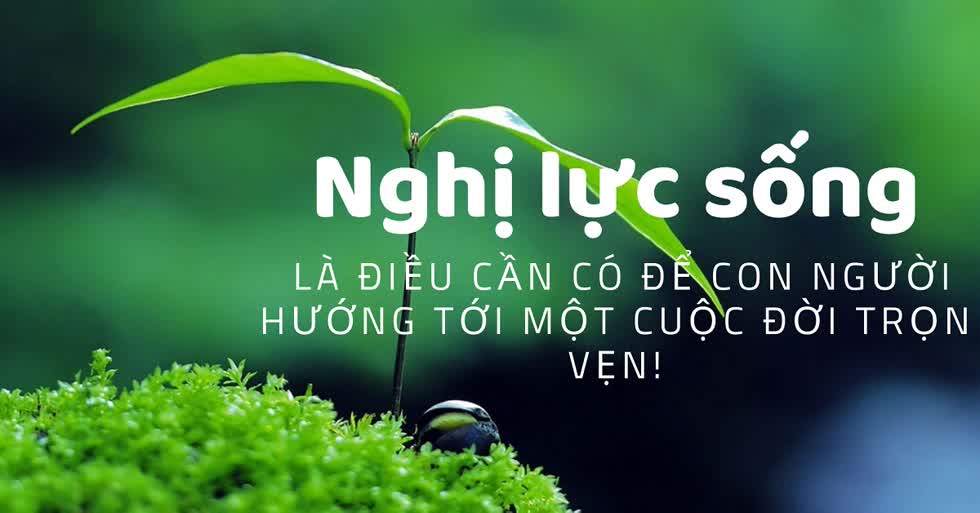 Tử vi thứ 6 ngày 21.2.2020 về sự nghiệp của 12 con giáp: Mẹo tích cực, Sửu đừng để quá tải
