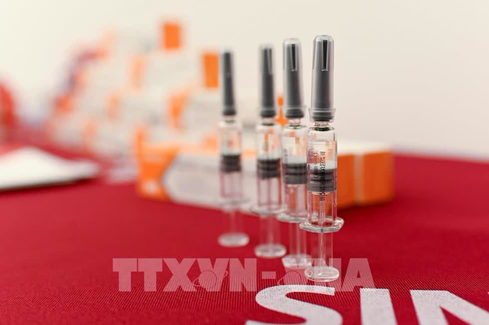 Vaccine COVID-19 do công ty Sinovac của Trung Quốc phát triển. Ảnh: TTXVN