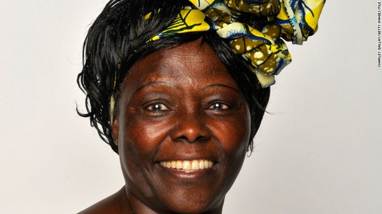 Bà Wangari Maathai. 