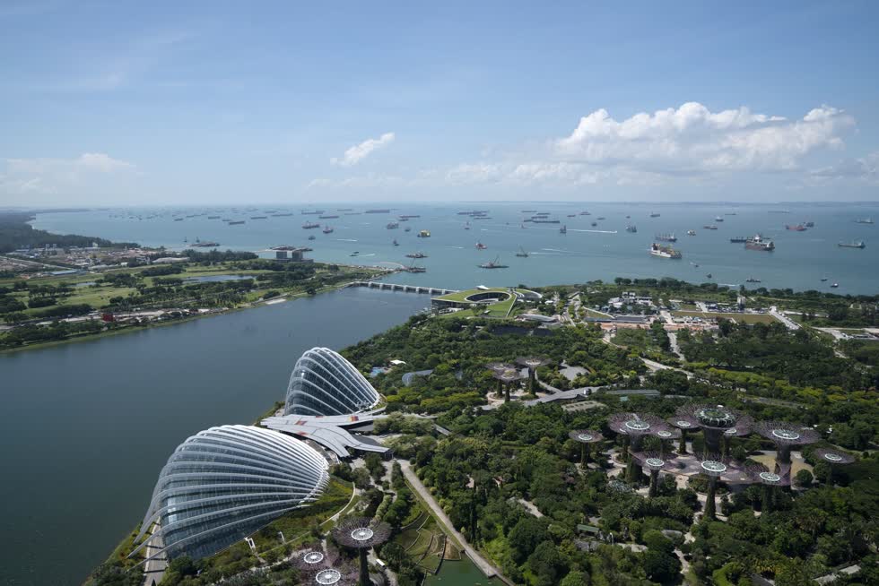 Những chiếc tàu được thả neo ngoài khơi Singapore vào ngày 6/7. Đại dịch đã làm chậm lại thương mại toàn cầu trong khi những người đi biển mắc kẹt trong các hạn chế cảng và biên giới nhằm giảm sự lây lan của COVID-19-19. Ảnh: Bloomberg