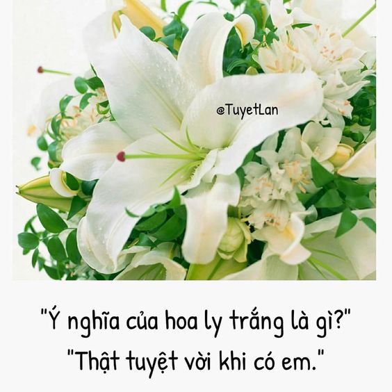 Tử vi thứ 5 ngày 19/3/2020 về tình duyên của 12 con giáp: Thân và Tuất hạnh phúc nhất trần đời