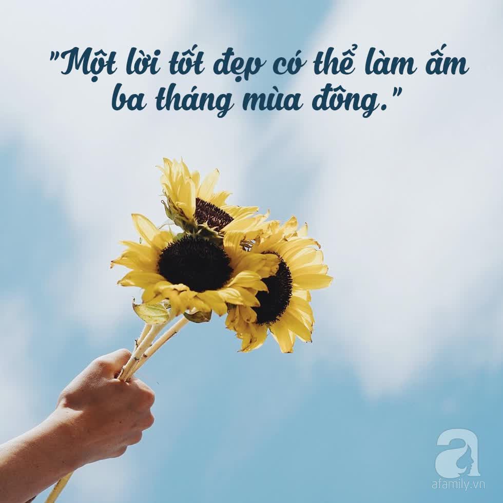 Tử vi thứ 2 ngày 2/3/2020 về tình duyên của 12 con giáp: Tý đừng phí thời gian, Sửu tránh hẹn hò