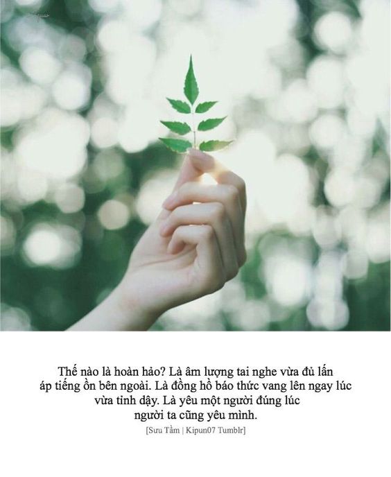 Tử vi thứ 5 ngày 19/3/2020 về tình duyên của 12 con giáp: Thân và Tuất hạnh phúc nhất trần đời