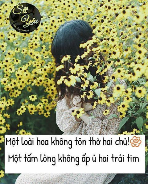 Tử vi Chủ Nhật ngày 8/3/2020 về tình duyên của 12 con giáp: Sửu tránh hẹn hò, Thân nhiều người để ý