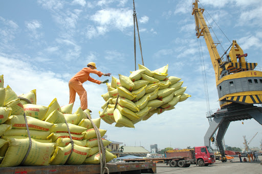 Giá lúa gạo Việt Nam đang cao nhất châu Á trong 1 năm qua.