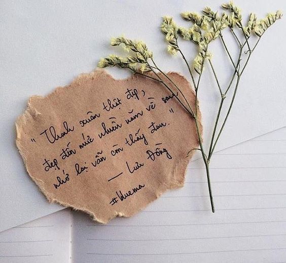 Tử vi thứ 3 ngày 17/3/2020 về tình duyên của 12 con giáp: Tý tình cảm lạnh nhạt, Hợi nhân duyên tốt đẹp   