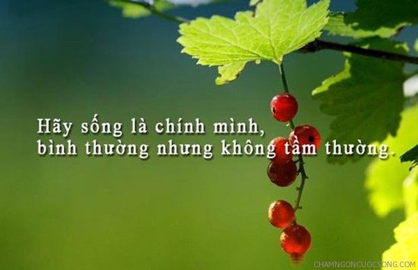 Tử vi thứ 2 ngày 2/3/2020 về tình duyên của 12 con giáp: Tý đừng phí thời gian, Sửu tránh hẹn hò
