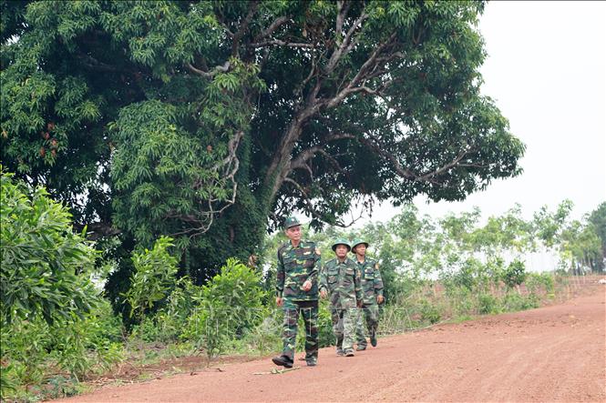 Lực lượng Biên phòng Cửa khẩu Chàng Riệc (huyện Tân Biên, tỉnh Tây Ninh) tuần tra, kiểm soát ở khu vực biên giới. Ảnh: Phạm Thanh Tân/TTXVN