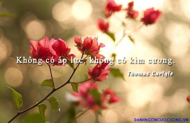 Tử vi thứ 2 ngày 2/3/2020 về sự nghiệp của 12 con giáp: Tý nên kiên nhẫn, Dần quá tải công việc