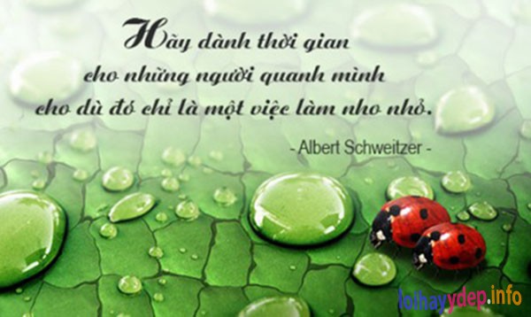 Tử vi thứ 4 ngày 4/3/2020 về sự nghiệp của 12 con giáp: Tỵ cải thiện năng lực, Mẹo theo đuổi tham vọng