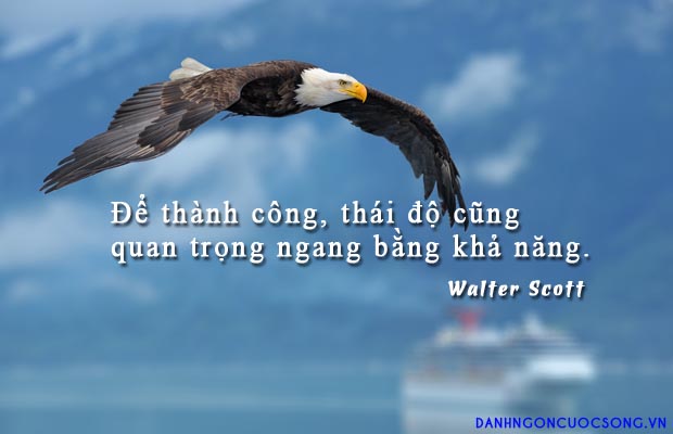 Tử vi thứ 2 ngày 2/3/2020 về sự nghiệp của 12 con giáp: Tý nên kiên nhẫn, Dần quá tải công việc