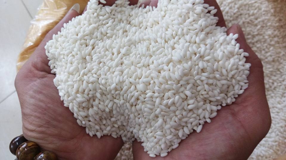 Gạo xuất khẩu vẫn chưa có dấu hiệu giảm giá