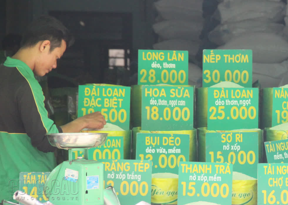 Giá gạo TP IR 504 (5% tấm) đạt mức 8.500 đồng/kg trong hôm nay.