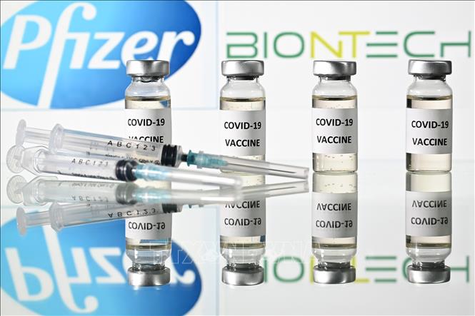 Vaccine ngừa COVID-19 của công ty Pfizer. Ảnh: TTXVN.