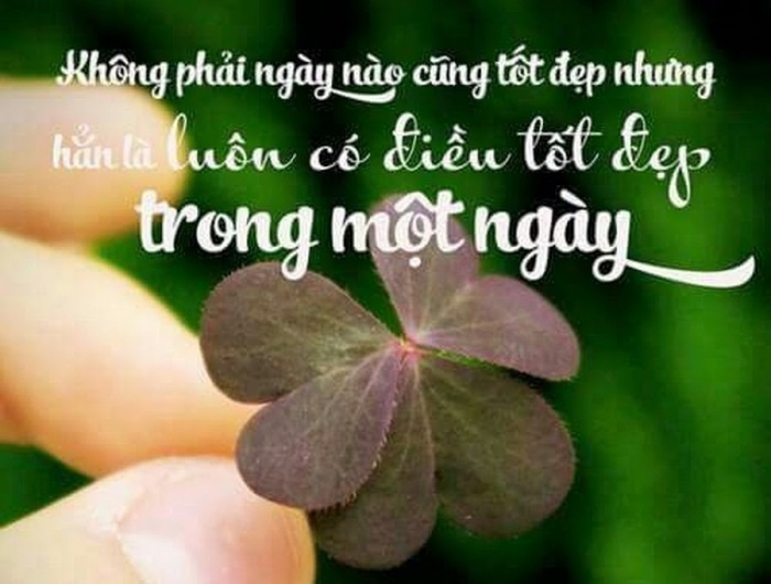 Tử vi thứ 2 ngày 9/3/2020 về tài lộc của 12 con giáp: Hợi giỏi cân đối thu chi, Ngọ tài lộc vận xui