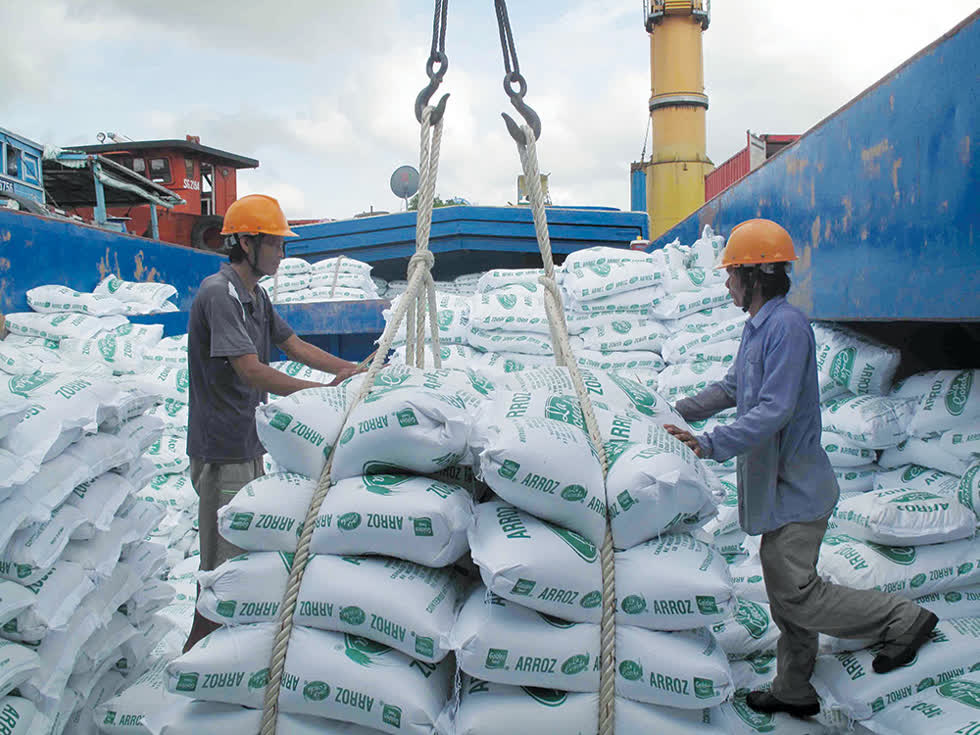 Giá gạo trong nước tăng nhẹ, gạo TP IR 504 vượt 8.200 đồng/kg