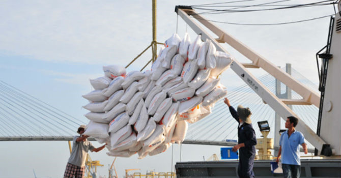 Dự báo nhu cầu gạo tại nhiều nước sẽ còn tăng trong thời gian tới.