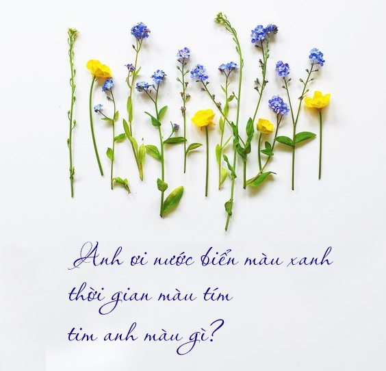 Tử vi thứ 3 ngày 10/3/2020 về tình duyên của 12 con giáp: Sửu lãng mạn, Dậu tạo ấn tượng tốt      
