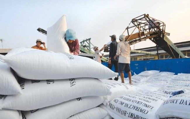 GS Võ Tòng Xuân nhận định, ngưng xuất khẩu gạo sẽ thiệt thòi cho nông dân.