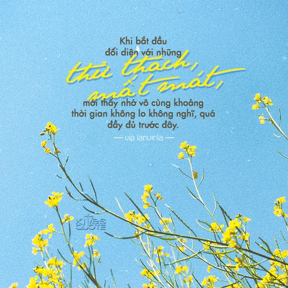 Tử vi thứ 4 ngày 25/3/2020 về tài lộc của 12 con giáp: Dần thoải mái chi tiêu, Thìn tài lộc vận đỏ