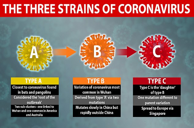 Virus SARS-CoV-2 có 3 biến thể khác biệt nhưng lại liên quan chặt chẽ với nhau