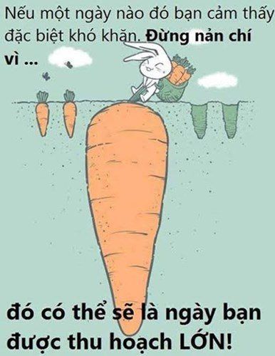 Tử vi thứ 3 ngày 24/3/2020 về sự nghiệp của 12 con giáp: Hợi quá tải, Tuất có thể gặp thị phi