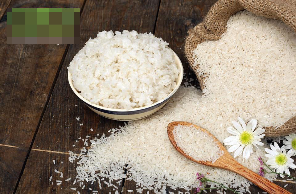 Giá lúa gạo giảm ở chủng loại NL IR 504 và TP IR 504