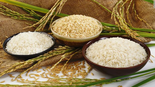 Giá lúa gạo trong nước tiếp tục tăng mạnh