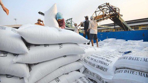 Giá lúa gạo hôm nay ổn định, nhu cầu thu mua từ kho vẫn đang chậm