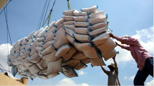 Thủ tướng Nguyễn Xuân Phúc yêu cầu tạm dừng ký hợp đồng xuất khẩu gạo mới.
