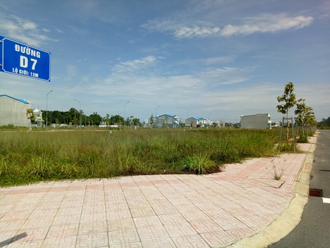 Agribank chi nhánh Chợ Lớn và Công ty Đấu giá Nam Sài Gòn đem cả đất không thu tiền sử dụng đất để định giá là sai sót nghiêm trọng.