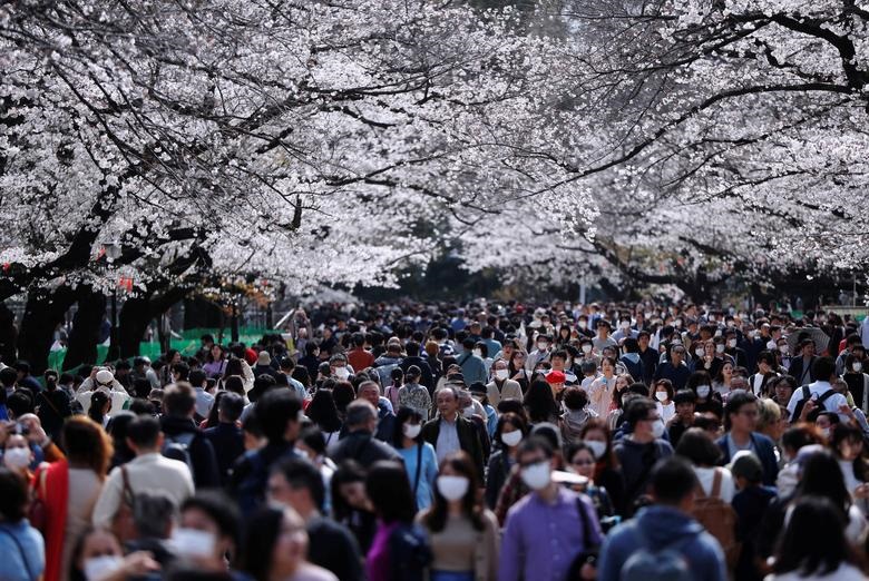 Du khách đeo khẩu trang bảo vệ nhìn hoa anh đào nở rộ tại công viên Ueno ở Tokyo, Nhật Bản ngày 22/3/2020.