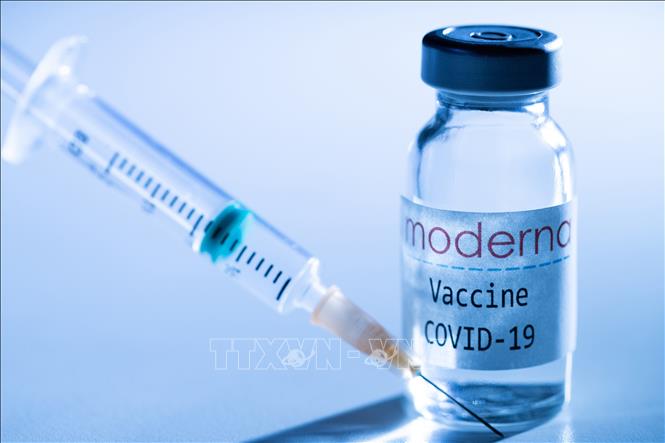   Vaccine ngừa COVID-19 của hãng dược phẩm Mỹ Moderna. Ảnh: AFP/TTXVN  
