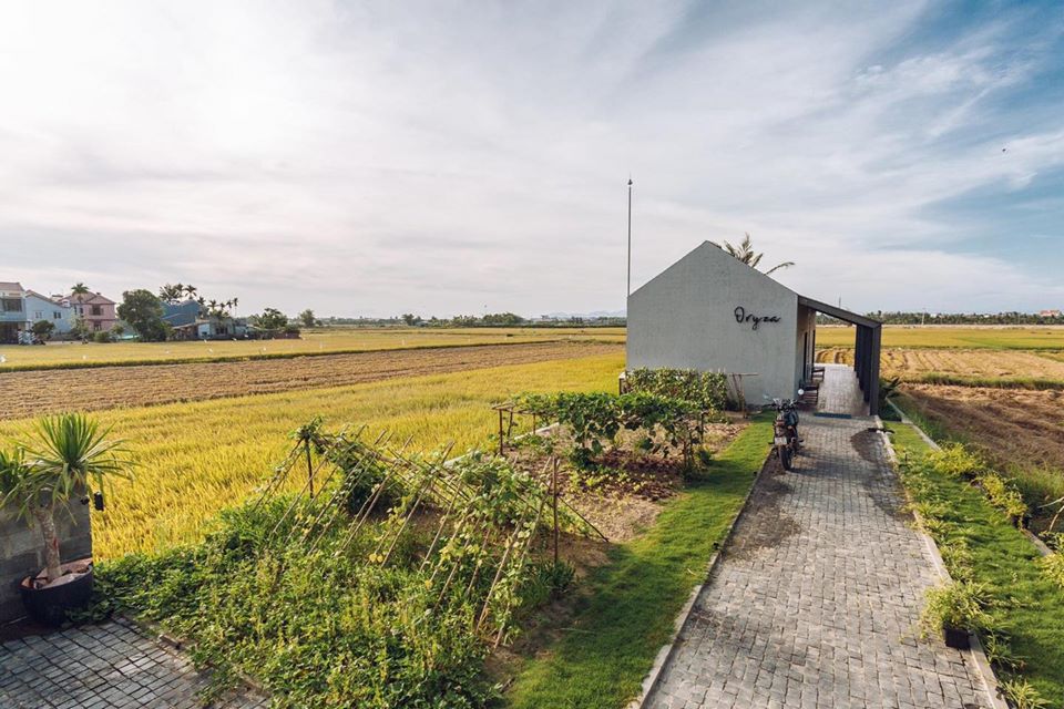Ngôi nhà nằm giữa cánh đồng đầy nắng gió ở một vùng quê thuộc miền Trung, Việt Nam - Ảnh: Đặng Thiện