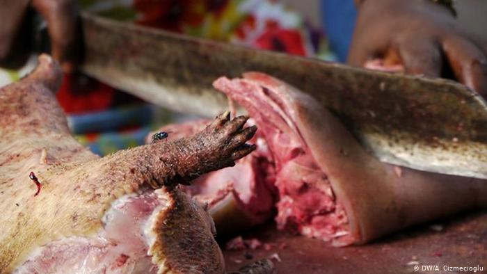 Vệ sinh kém trên các chợ ẩm ướt và buôn bán thịt bụi có nhiều khả năng gây ra đại dịch tiếp theo. Ảnh: DWA