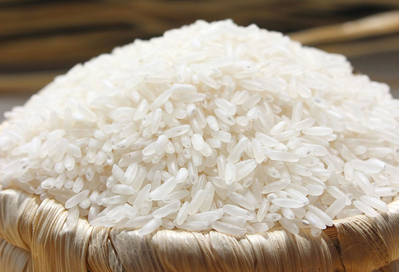 Giá gạo TP và NL IR 504 tăng khả quan trong đầu tuần