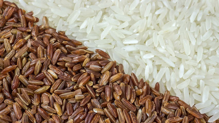 Giá lúa gạo hôm nay giữ ổn định, chủng loại NL IR 504 đang có xu hướng giảm