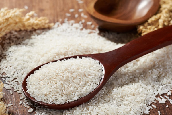 Giá lúa gạo đầu tuần có xu hướng giảm nhẹ ở hai chủng loại NL và TP IR 504
