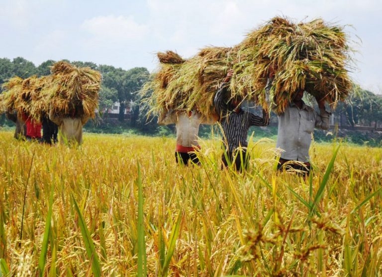 Nguồn cung tại Bangladesh cạn kiệt do thiên tai liên tiếp khiến giá gạo nội địa tăng vọt.