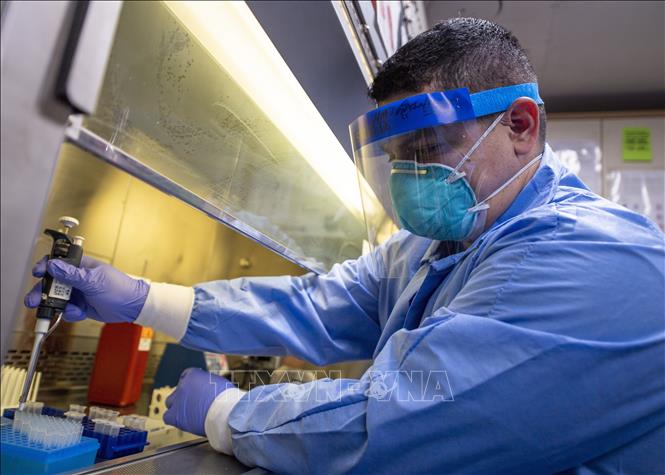 Nhân viên y tế tiến hành xét nghiệm mẫu bệnh phẩm COVID-19 trong phòng thí nghiệm trên tàu bệnh viện USNS Mercy tại bang California, Mỹ ngày 31/3/2020. Ảnh: AFP/TTXVN