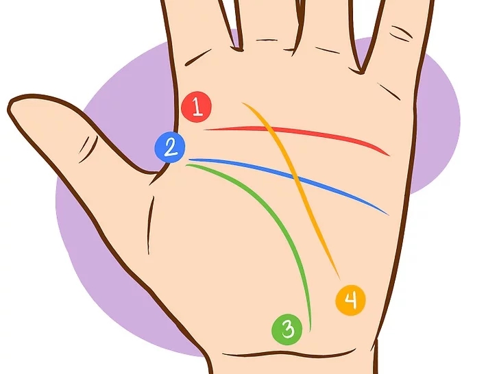 Giải mã đường chỉ tay với 9 bước xem đơn giản