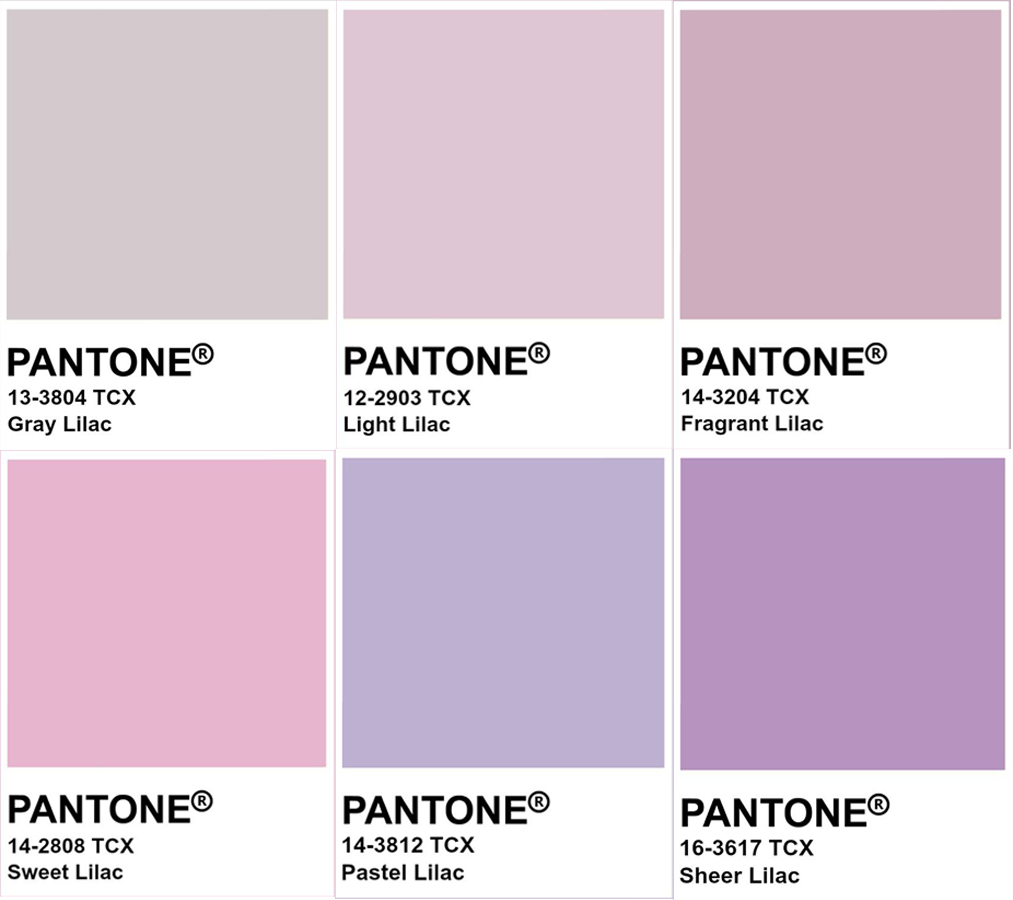 Có hơn 20 sắc thái lilac khác nhau được Pantone tổng hợp nhưng đây là những sắc độ phổ biến nhất. Ảnh: Pantone 