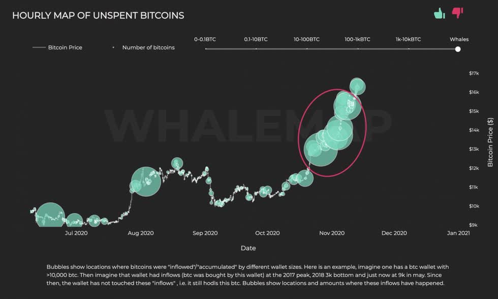 Các cụm cá voi Bitcoin trong suốt năm 2020. Nguồn: Whalemap.
