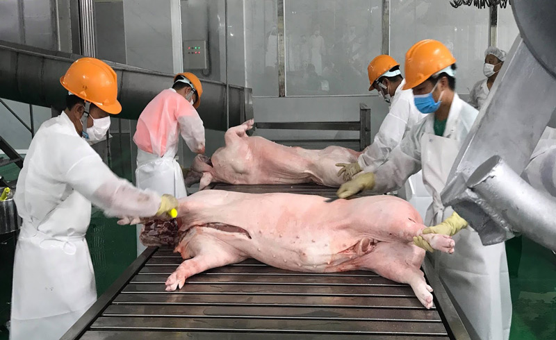    Cục Thú y khẳng định thịt heo nhập khẩu hoàn toàn bảo đảm an toàn vệ sinh thực phẩm.  