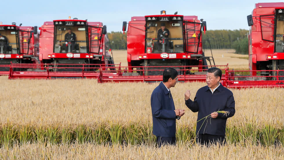 Chủ tịch Trung Quốc Tập Cận Bình thăm các đại nông trang ở tỉnh Hắc Long Giang.